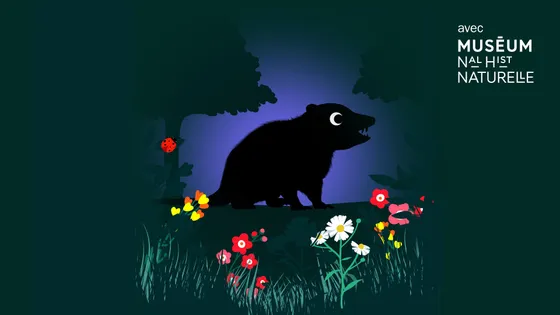 L'opossum